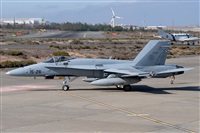 Luis Rguez - La Palma Spotting. Click to see full size photo