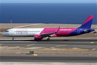 ©Alfonso Solís - Asociación Canary Islands Spotting. Click to see full size photo ©Alfonso Solís - Asociación Canary Islands Spotting. Click to see full size photo