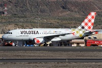 Alfonso Sols - Asociacin Canary Islands Spotting. Haz click para ampliar