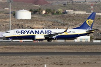 ©Alfonso Solís - Asociación Canary Islands Spotting. Click to see full size photo ©Alfonso Solís - Asociación Canary Islands Spotting. Click to see full size photo
