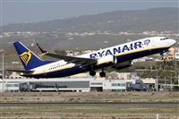 Alfonso Sols - Asociacin Canary Islands Spotting. Click to see full size photo
