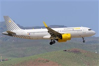 Miguel A. gueda Rguez.  (CANARY ISLANDS SPOTTING). Click to see full size photo
