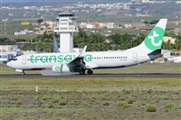 Miguel A. gueda Rguez.  (CANARY ISLANDS SPOTTING). Click to see full size photo