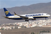 Adolfo Bento - Gran Canaria Spotters. Click to see full size photo
