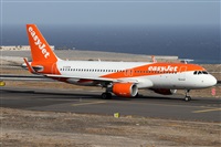 Alfonso Sols - Asociacin Canary Islands Spotting. Haz click para ampliar
