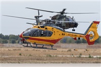 Adolfo Bento - Gran Canaria Spotters. Click to see full size photo
