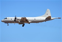 Alejandro H.L - Gran Canaria Spotters. Click to see full size photo