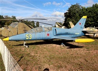 Daniel Ferro. Click to see full size photo