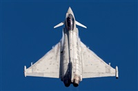 Tams. Click to see full size photo