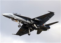 ©Javier Rodríguez. Click to see full size photo ©Javier Rodríguez. Click to see full size photo