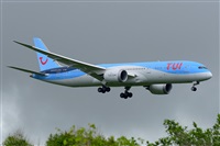 Miguel A. gueda Rguez.  (CANARY ISLANDS SPOTTING). Click to see full size photo