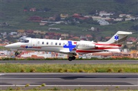 �Miguel A. �gueda Rguez.  (CANARY ISLANDS SPOTTING). Click to see full size photo