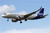 �Alfonso Sol�s - Asociaci�n Canary Islands Spotting. Click to see full size photo