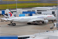 �Miguel A. �gueda Rguez.  (CANARY ISLANDS SPOTTING). Click to see full size photo