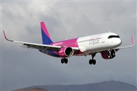 ©Alfonso Solís - Asociación Canary Islands Spotting. Click to see full size photo ©Alfonso Solís - Asociación Canary Islands Spotting. Click to see full size photo