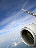 Andrs Meneses - Iberian Spotters. Click to see full size photo