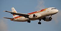 Rubn Gil - Noisy Spotters. Click to see full size photo