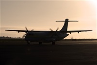 Javier de la Cruz - CANARY ISLANDS SPOTTING. Click to see full size photo