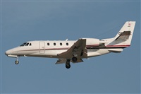 Jos Miguel Bernases - Noisy Spotters. Click to see full size photo