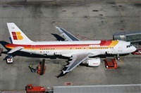 Galo Alcolea - Iberian Spotter / AIRE.ORG. Click to see full size photo