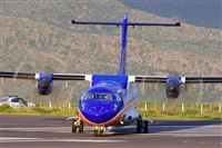 ©Javier de la Cruz - CANARY ISLANDS SPOTTING. Click to see full size photo ©Javier de la Cruz - CANARY ISLANDS SPOTTING. Click to see full size photo