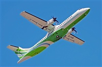 Miguel A. gueda Rguez.  (CANARY ISLANDS SPOTTING). Click to see full size photo
