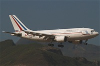 Adrin Alonso Lemes - Lanzarote Spotters. Haz click para ampliar