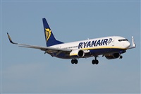 Alfonso Sols - Asociacin Canary Islands Spotting. Haz click para ampliar