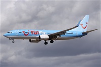 Alfonso Sols - Asociacin Canary Islands Spotting. Click to see full size photo
