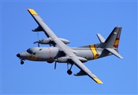 Alejandro H.L - Gran Canaria Spotters. Click to see full size photo