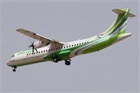 ©Alfonso Solís - Asociación Canary Islands Spotting. Click to see full size photo ©Alfonso Solís - Asociación Canary Islands Spotting. Click to see full size photo