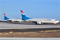 Miguel A. gueda Rguez.  (CANARY ISLANDS SPOTTING). Click to see full size photo