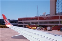 Javier de la Cruz - CANARY ISLANDS SPOTTING. Click to see full size photo