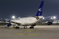 ©La Roche Spotters. Click to see full size photo ©La Roche Spotters. Click to see full size photo