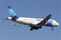 ©Alfonso Solís - Asociación Canary Islands Spotting. Click to see full size photo ©Alfonso Solís - Asociación Canary Islands Spotting. Click to see full size photo