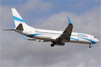 Alfonso Sols - Asociacin Canary Islands Spotting. Click to see full size photo