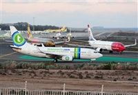 Alejandro H.L - Gran Canaria Spotters. Click to see full size photo