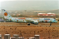 ©Miguel A. Águeda Rguez. (CANARY ISLANDS SPOTTING). Click to see full size photo ©Miguel A. Águeda Rguez. (CANARY ISLANDS SPOTTING). Click to see full size photo