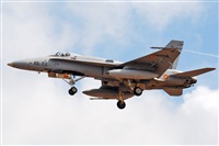 J. Victor Vega-Gran Canaria Spotters. Click to see full size photo