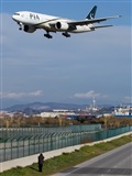 ©Manuel Del Amo. Click to see full size photo ©Manuel Del Amo. Click to see full size photo