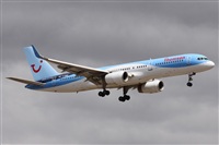 ©Alfonso Solís - Asociación Canary Islands Spotting. Click to see full size photo ©Alfonso Solís - Asociación Canary Islands Spotting. Click to see full size photo