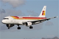 Alfonso Sols - Asociacin Canary Islands Spotting. Haz click para ampliar