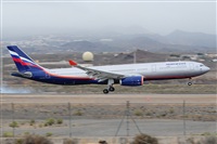 Miguel A. gueda Rguez.  (CANARY ISLANDS SPOTTING). Click to see full size photo