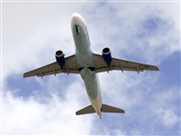 Paco Muoz Arencibia - Gran Canaria Spotters. Click to see full size photo
