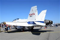Ana L@dy Spotter. Click to see full size photo