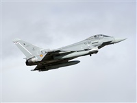 Paco Muoz Arencibia - Gran Canaria Spotters. Click to see full size photo