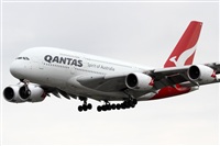 Rubn Gil - Noisy Spotters. Click to see full size photo
