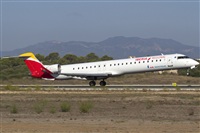 Rubn Gil - Noisy Spotters. Click to see full size photo
