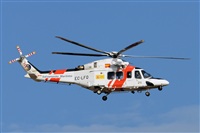 Miguel A. gueda Rguez.  (CANARY ISLANDS SPOTTING). Click to see full size photo