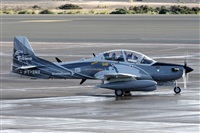 Bartolom Fernndez - Gran Canaria Spotters. Click to see full size photo